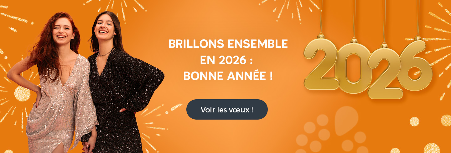 Bannière de vœux 2026 avec deux femmes en tenue de fête, décorations dorées et le message ‘Brillons ensemble en 2026 : Bonne année !’.